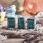 New English Teas 3x Song Thrush and Berries Mini Tea Tins