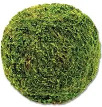 SuperMoss Moss Ball