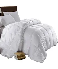 - Goose and  down comforter queen