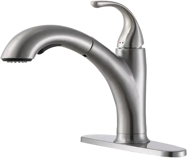 Kitchen Faucet with Sprayer