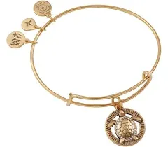 Alex and Ani Turtle Charm Bangle Bracelet