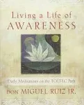 Living a Life of Awareness [Book]