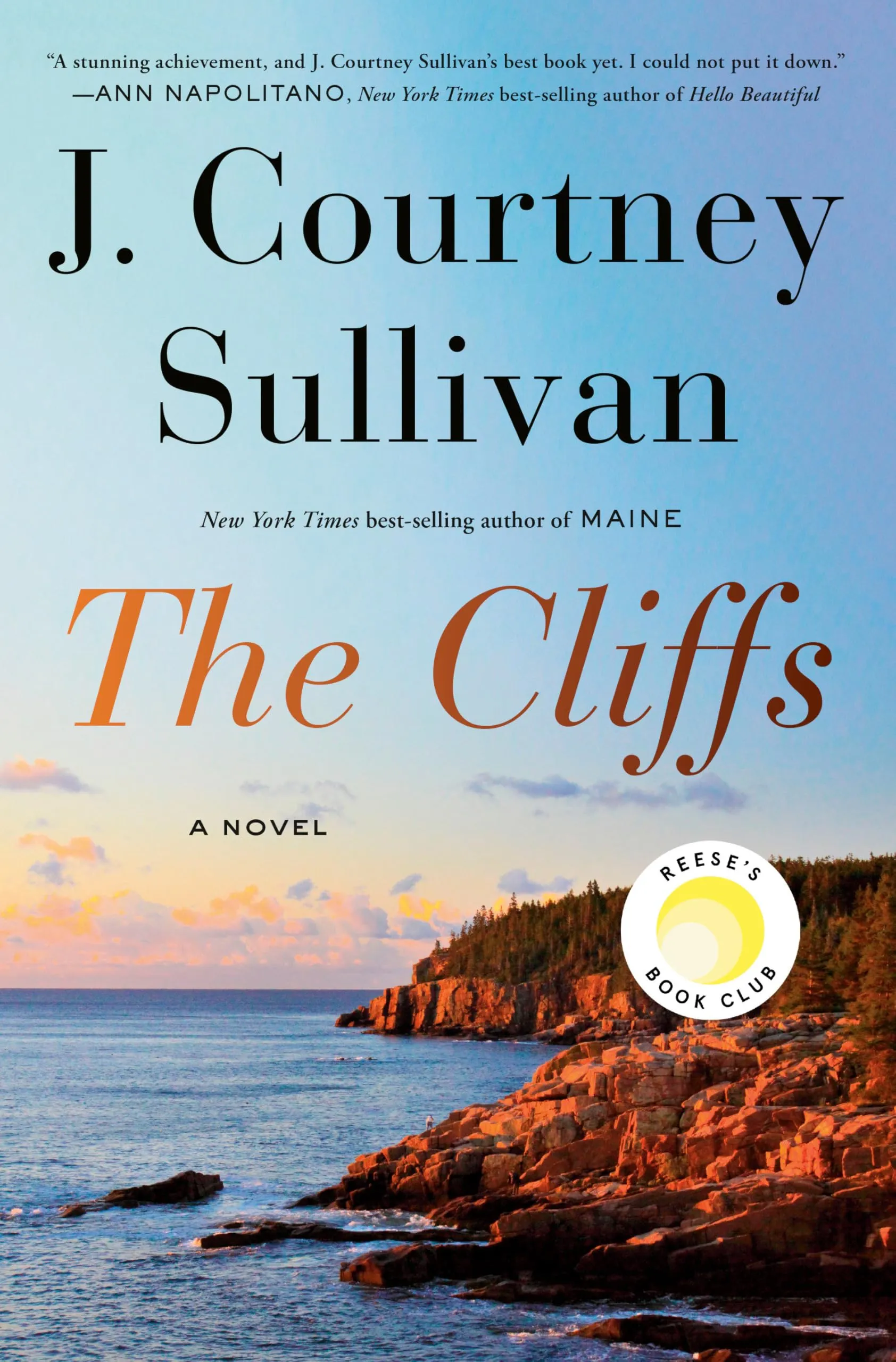 The Cliffs: A Novel [Book]