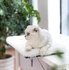 TOPMART Window Sill Cat Perch with Fluffy Pillow Pad