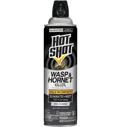 Hot Shot Wasp & Hornet Killer