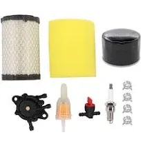 ApplianPar Tune Up Maintenance Service Kit Air Oil Fuel Filter and Fuel Pump Spark Plug Valve and Clamp for D100 D105 D130 D140 D160 D170 D125 Lawn Mower Tractor