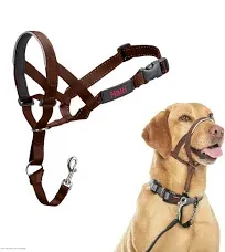 Halti Headcollar For Dogs Size 1 Black 12-15.5&#034; Halti Head Collar Stops Pulling