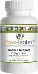 PawHealer Trachea Support Dog Cough Remedy - used for Loud Honking Cough -100 Grams/Powder