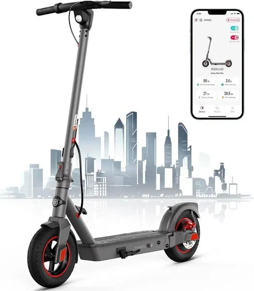 Sisigad 10 inch Tires Electric Scooter