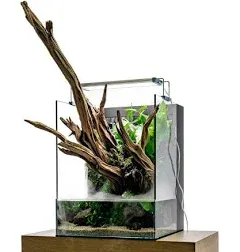 UNS Foresta Integrated Paludarium