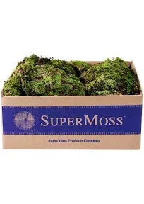 SuperMoss Royal Pool Moss