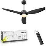  52 Inch Indoor/Outdoor Modern Ceiling Fan with Lights and Remote Black