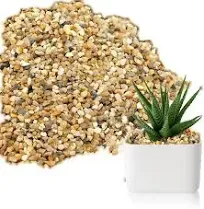 Coarse Sand Stone - 5 lbs for Succulents, Cactus, Bonsai, Terrariums