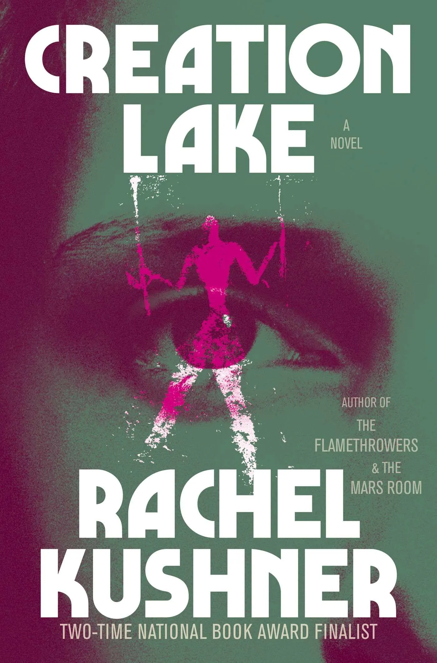 Creation Lake, by Rachel Kushner