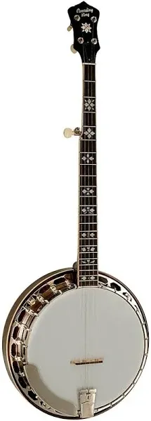 Recording King Bluegrass Series RK-R20 Songster 5-String Banjo, NEW! #RK-R20 | Reverb