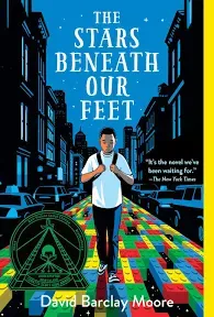 The Stars Beneath Our Feet [Book]