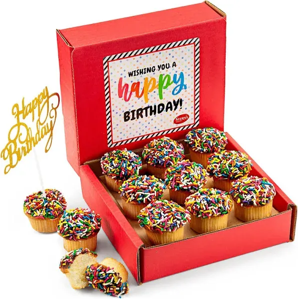 Birthday Gift Basket | Happy Birthday Cupcakes [9 Count] | Mini Rainbow Sprinkle Cupcakes Individually Wrapped | Birthday Treats for Kids, Men, Women| Kosher, Nut Free | Stern’s Bakery