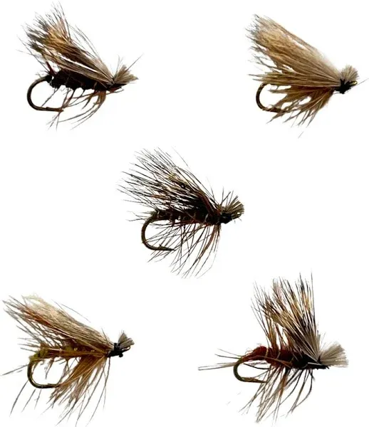 Feeder Creek 30pc Elk Hair Caddis Fly Fishing Flies, Premium Fly Fishing Dry Flies with Fly Box in 5 Colors and 3 Sizes Trout Flies | Trout Fly Assortment