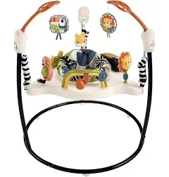 Fisher Price Jumperoo Activity Center, Palm Paradise