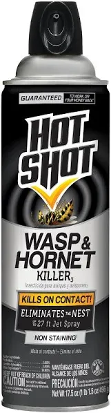 Hot Shot Wasp & Hornet Killer Aerosol Spray