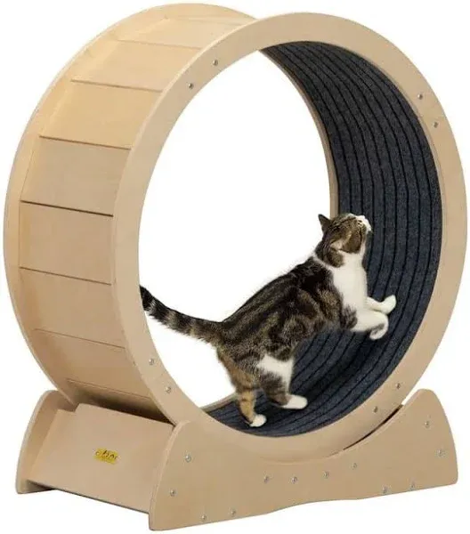 COZIWOW Cat Exercise Wheel