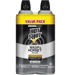 Hot Shot Wasp & Hornet Killer Aerosol Spray