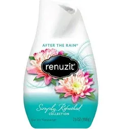 Renuzit After the Rain Air Freshener