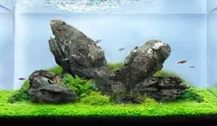 LANDEN Seiryu Stones Natural Rocks (17lbs, 3~11 inches,7-8pcs) for Aquarium, ...