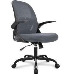 Primy Office Chair Ergonomic Desk Chair with Adjustable Lumbar Support and He...