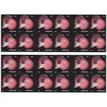 USPS Forever Stamps Star Spangled Banner Booklet of 20 (Fireworks)