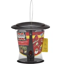 Squirrel-x X-2 Squirrel-Resistant Cardinal Seed Bird Feeder