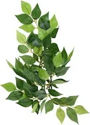 Exo Terra Ficus Silk Plant