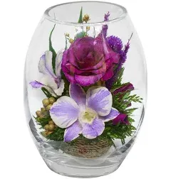 Fiora Flower Long Lasting Pink Roses and Orchids in a Elliptical Glass Vase