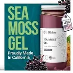 Biolore Sea Moss Gel Elderberry - 16 oz | Irish Seamoss | Essential Vitamins & Minerals | Antioxidant-Rich Vegan Superfood | Immune Support