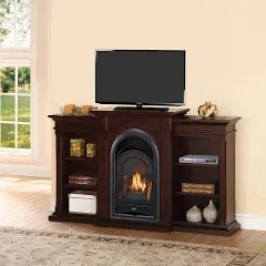 Procom Vent Free Propane/Natural Gas Fireplace