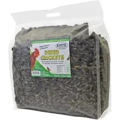 Dried Cricket Treats for Chickens