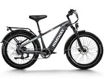 Himiway Zebra D5 Premium All-Terrain 750W Fat Tire Electric Bike