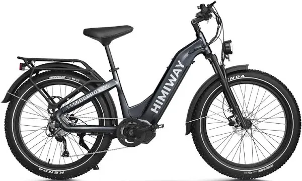 Himiway Zebra D5 Premium All-Terrain 750W Fat Tire Electric Bike