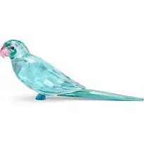 Swarovski Jungle Beats Parakeet Paco Figurine