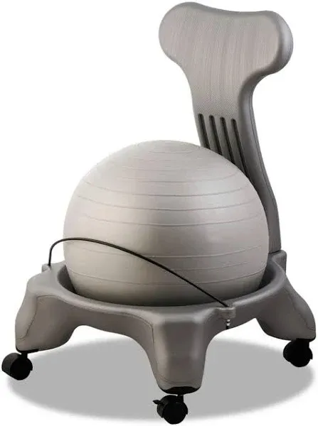 Ergonomic Fit Pro Ball Chair