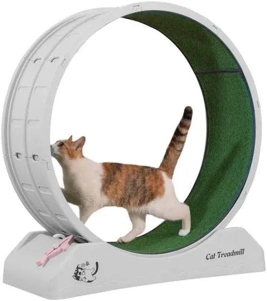 Coziwow Cat Treadmill Exercise Wheel