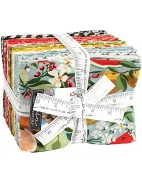 BasicGrey Fruit Loop 30 Fat Quarters 30730AB