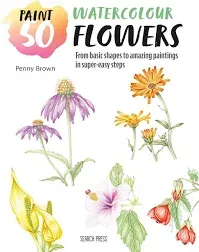 Paint 50: Watercolour Flowers: From Basic Shapes to Amazing Paintings in...