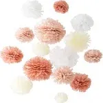 20-Piece Paper Pom Poms Party Kit – Tissue Paper Pom Poms Decorations - Birth...