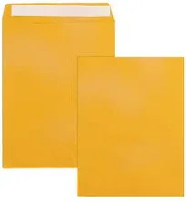 Amazon Basics 10 x 13-Inch Gummed Seal Clasp Kraft Mailing Envelopes