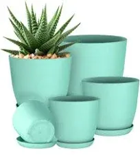 Utopia Home Plant Pots