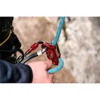 Lifeguard Belay Device