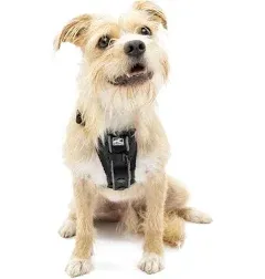 Kurgo Dog Harness Pet Walking Harness No Pull Harness Front Clip Medium Grey