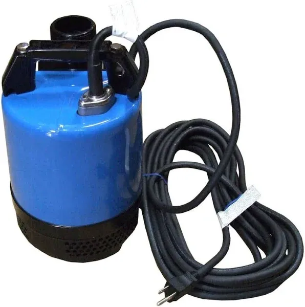 Tsurumi LB-480 2 in 2 HP Submersible Pump