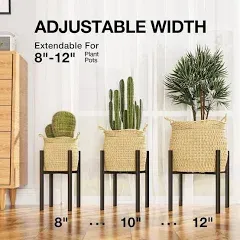 Single Indoor Plant Stand